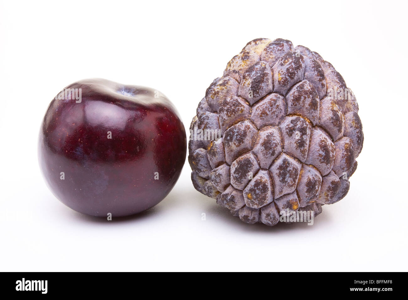 Damson Plum and Exotic Custard Apple isolated against white background. Stock Photo