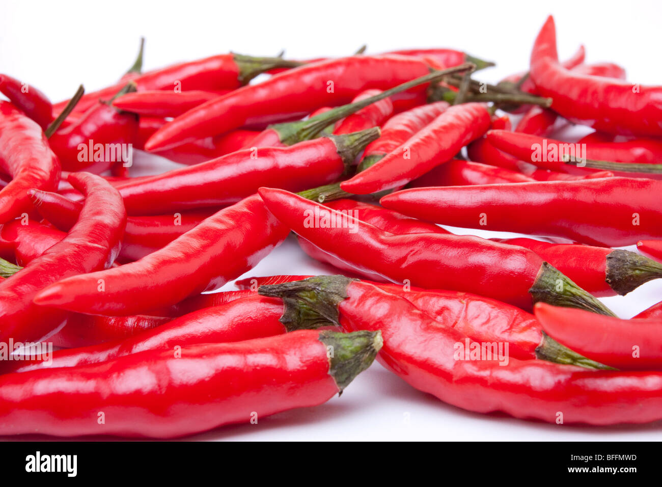 A carpet of red chilli peppers against a white background from low view point. Stock Photo