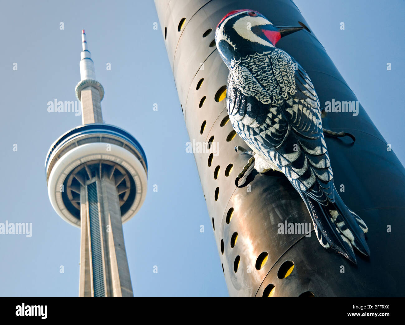 Fastwurms Woodpecker Column Sculpture & CN Tower, Toronto, Ontario, Canada, North America Stock Photo