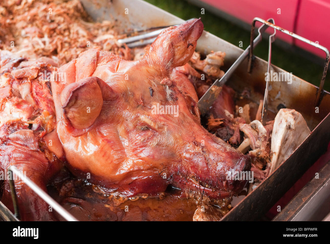 Pig's head roasted on spit Stock Photo