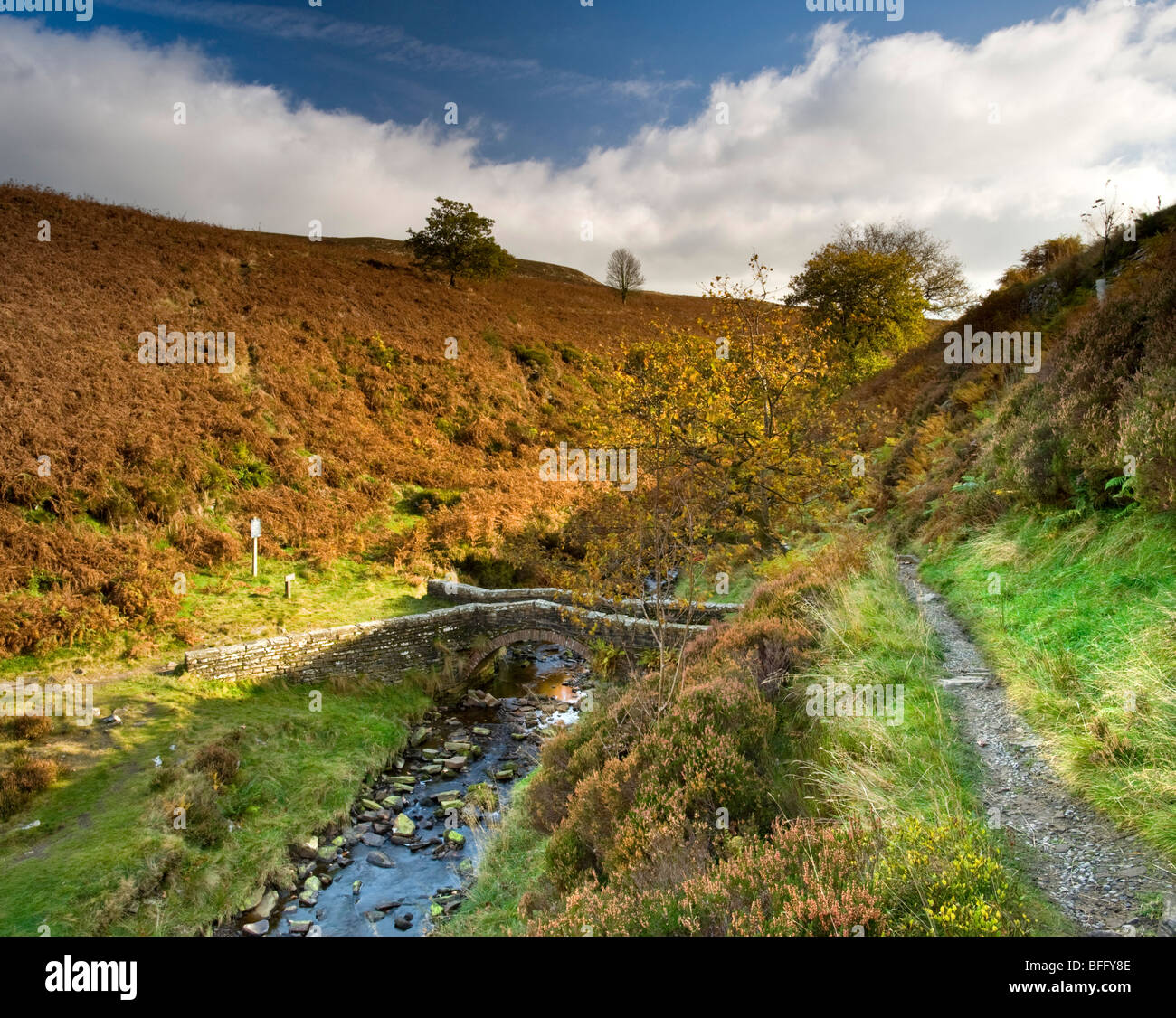 The river goyt in the peak district essay 04 image