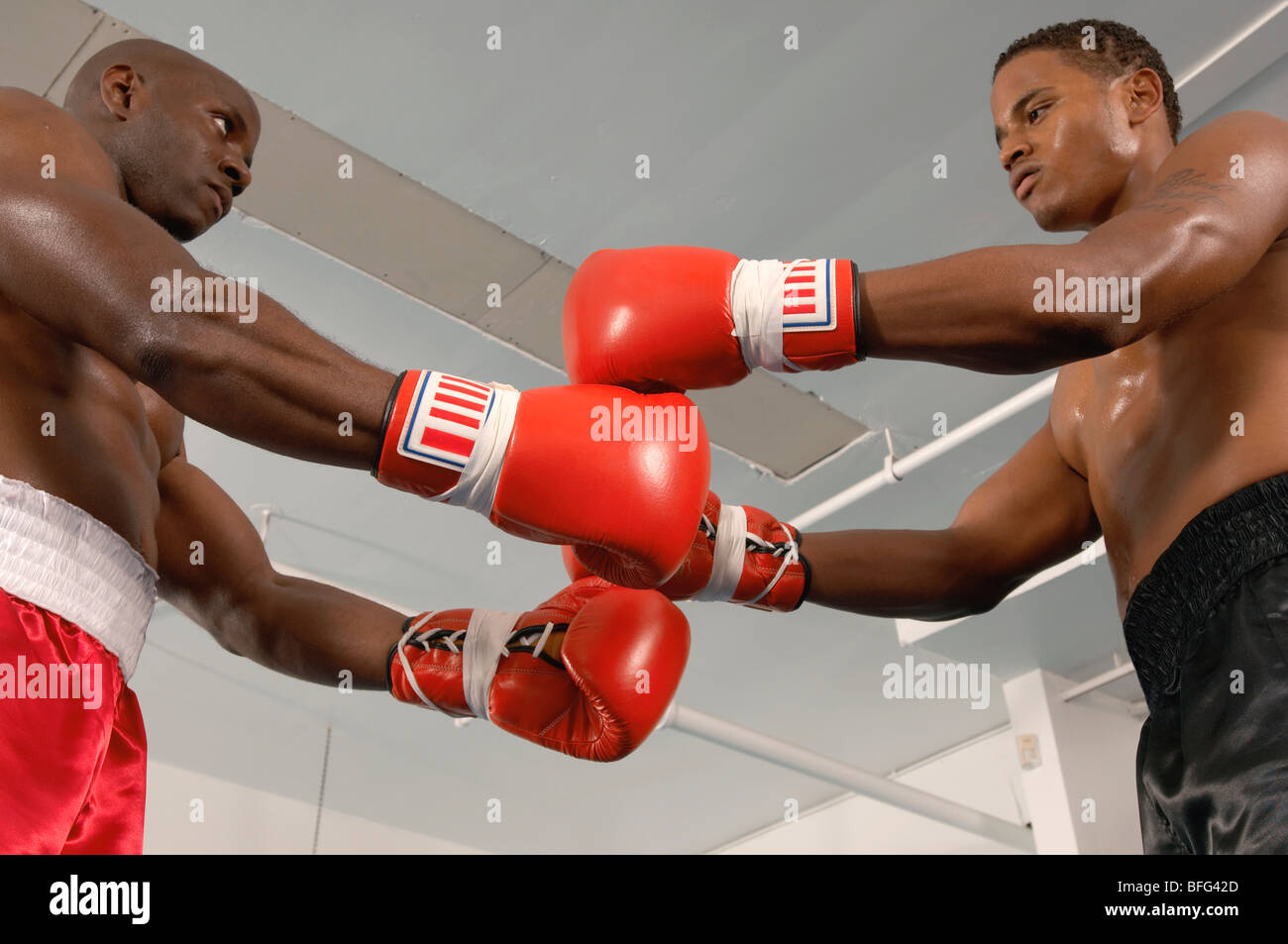 Two Boxers Before Fight Stock Photo Alamy