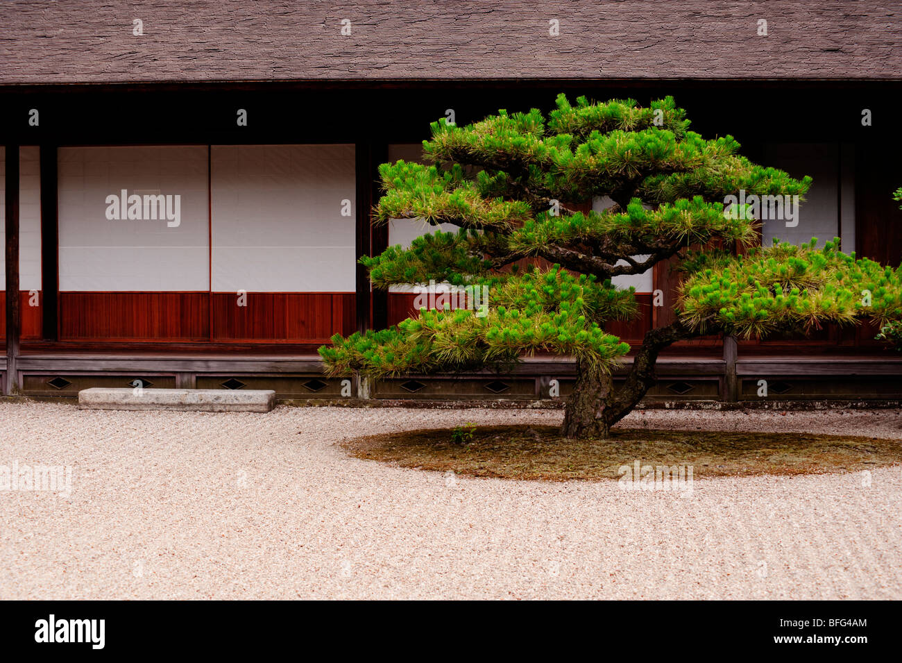 Detail of a manicured pine tree outside the Kikugetsu-tei Tea House at Ritsurin Park Stock Photo