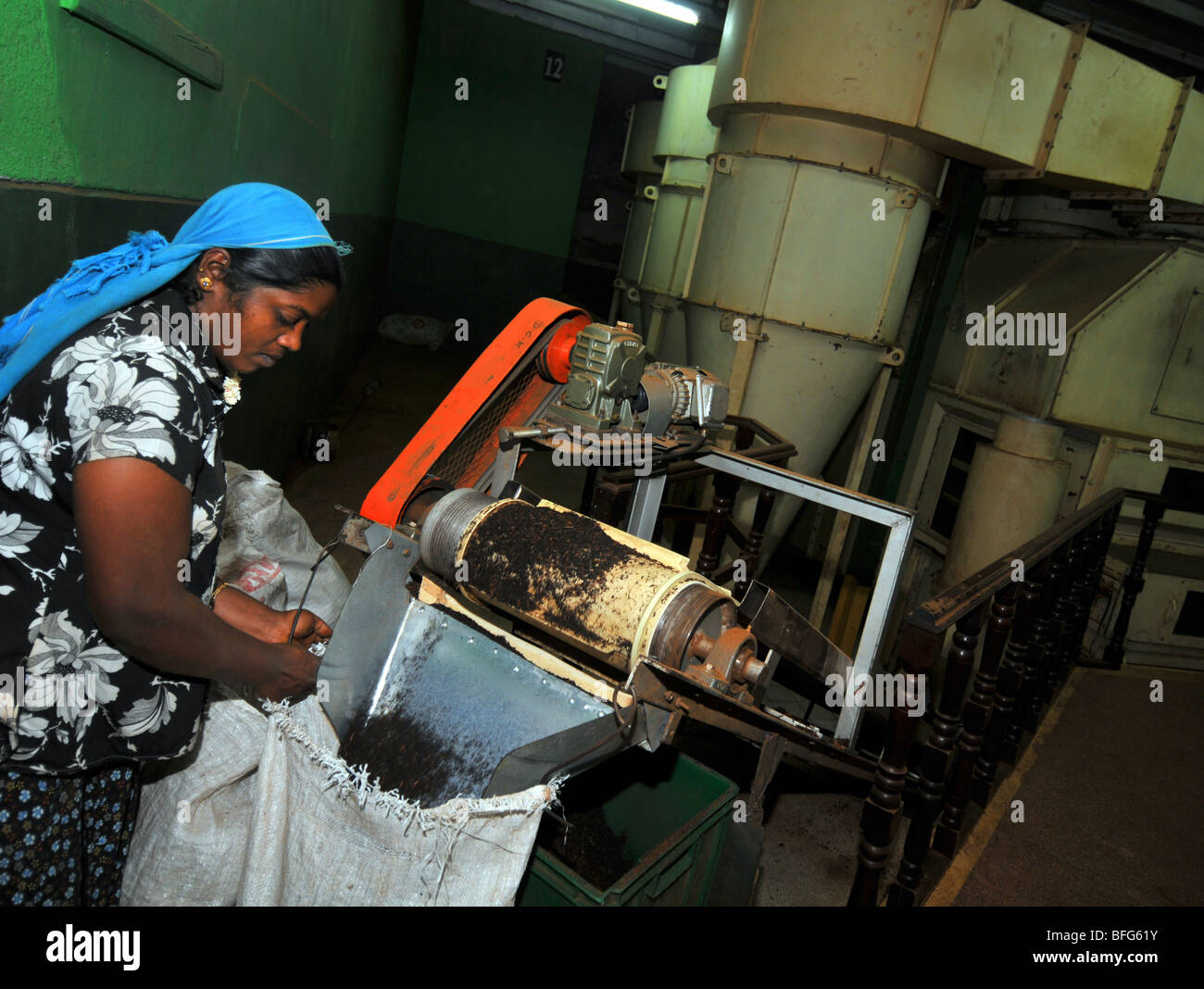 Tea factory and plantation, Nuwara Eliya, Sri Lanka, tea production
