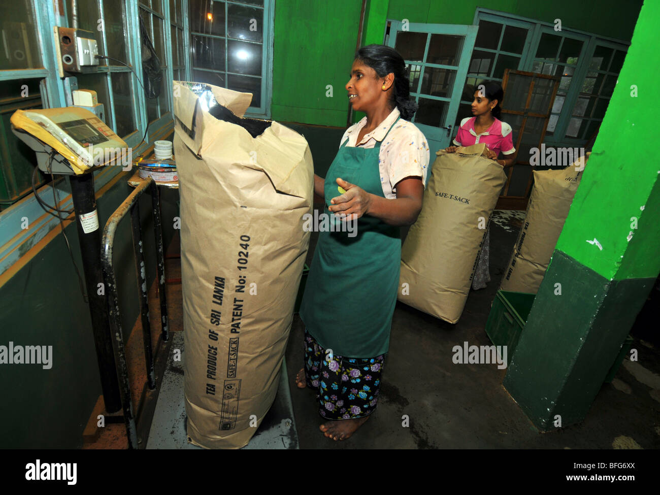 Tea factory and plantation, Nuwara Eliya, Sri Lanka, tea production ...