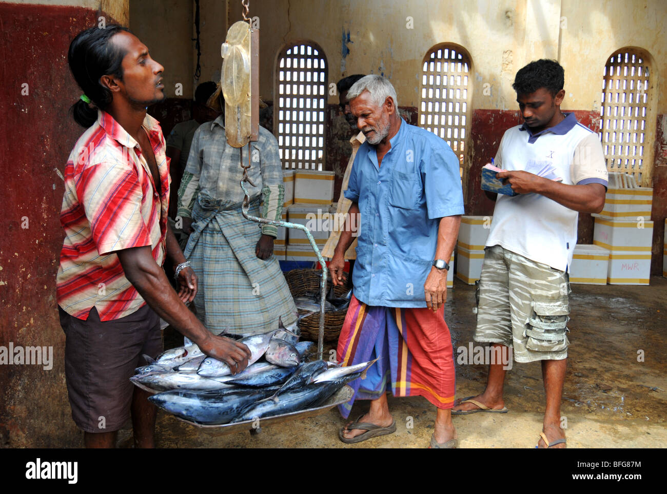 Fish market, Sri Lanka, Sri Lankan fish market Stock Photo Alamy