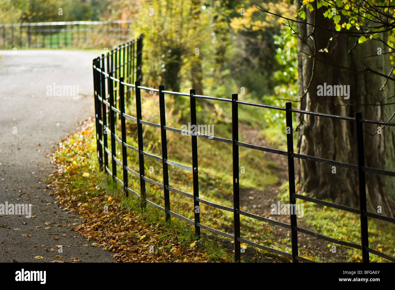 A black painted wrought iron fence with a missing link Stock Photo Alamy