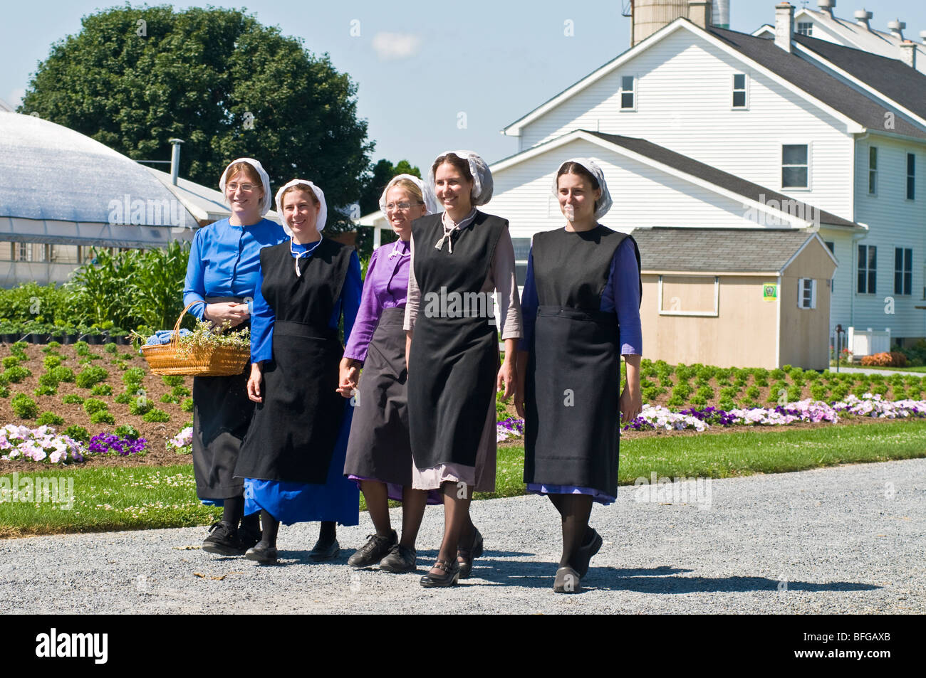 Young amish women friends walking down country lane road in Lancaster PA.   housewives Stock Photo