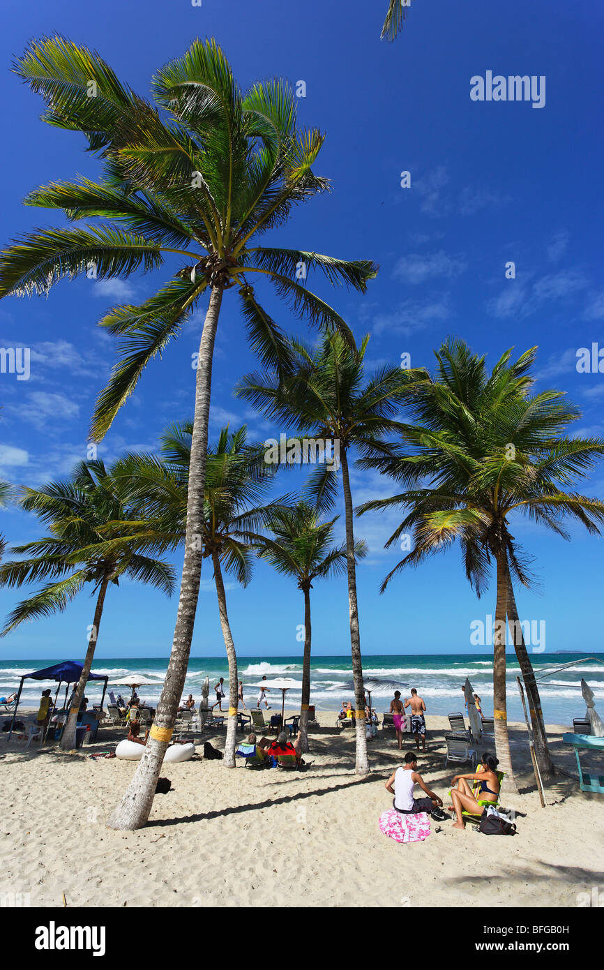 Palm trees at Playa El Aqua, Isla Margarita, Nueva Esparta, Venezuela Stock Photo