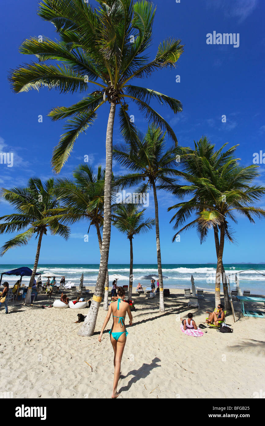 Palm trees at Playa El Aqua, Isla Margarita, Nueva Esparta, Venezuela Stock Photo