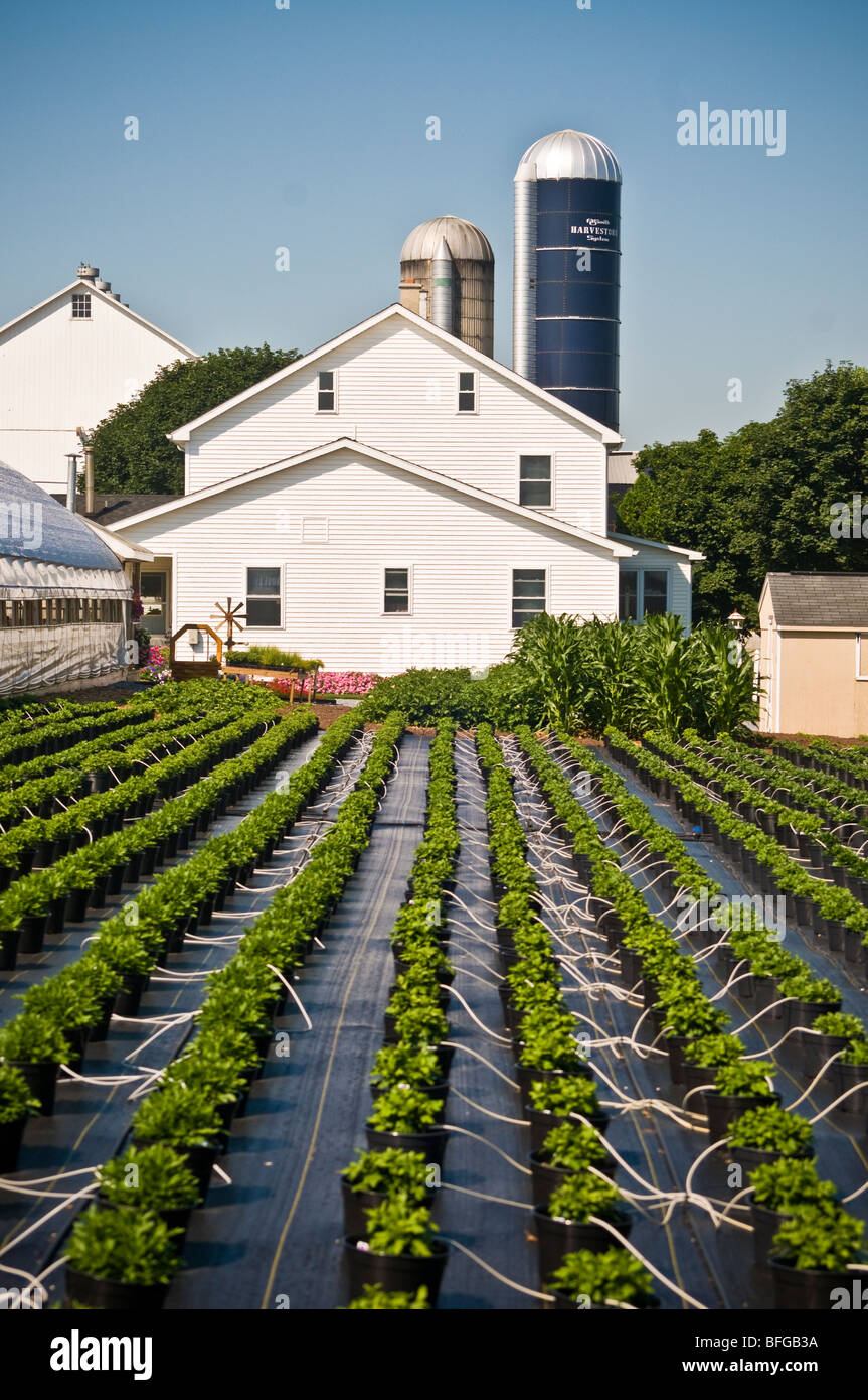 Amish farm house Lancaster PA Stock Photo Alamy
