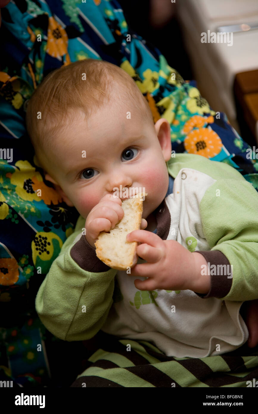 ten months old baby eating bread Stock Photo Alamy