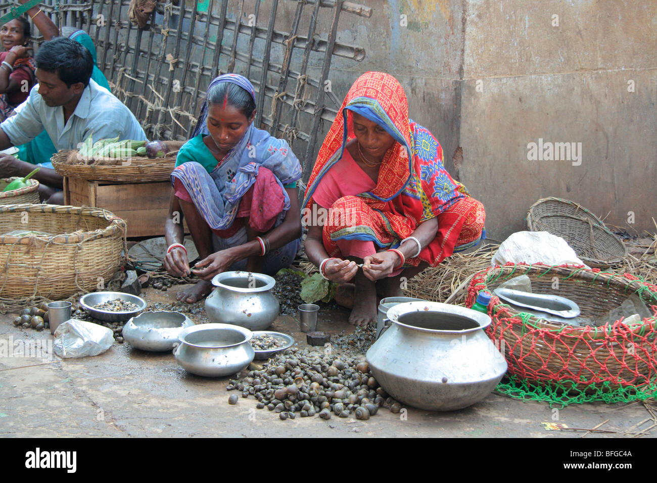 India oyster hires stock photography and images Alamy