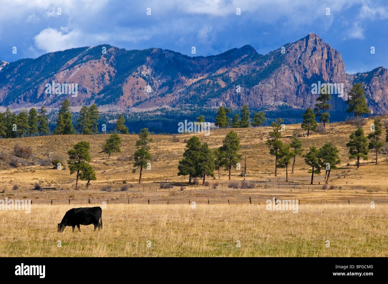 Rural scene in New Mexico Stock Photo Alamy