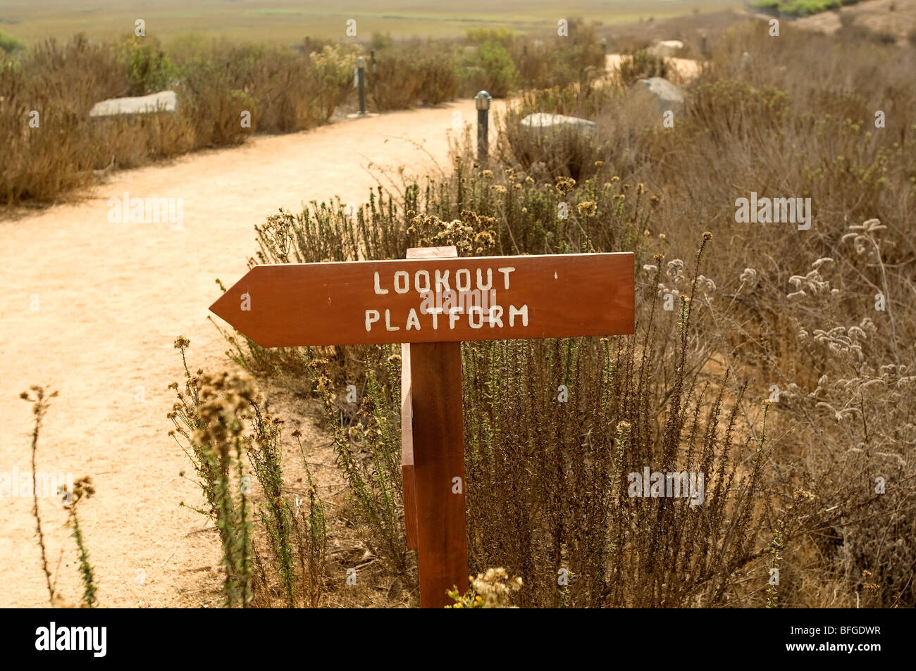Upper Newport Bay Nature Preserve Lookout Platform Stock Photo Alamy