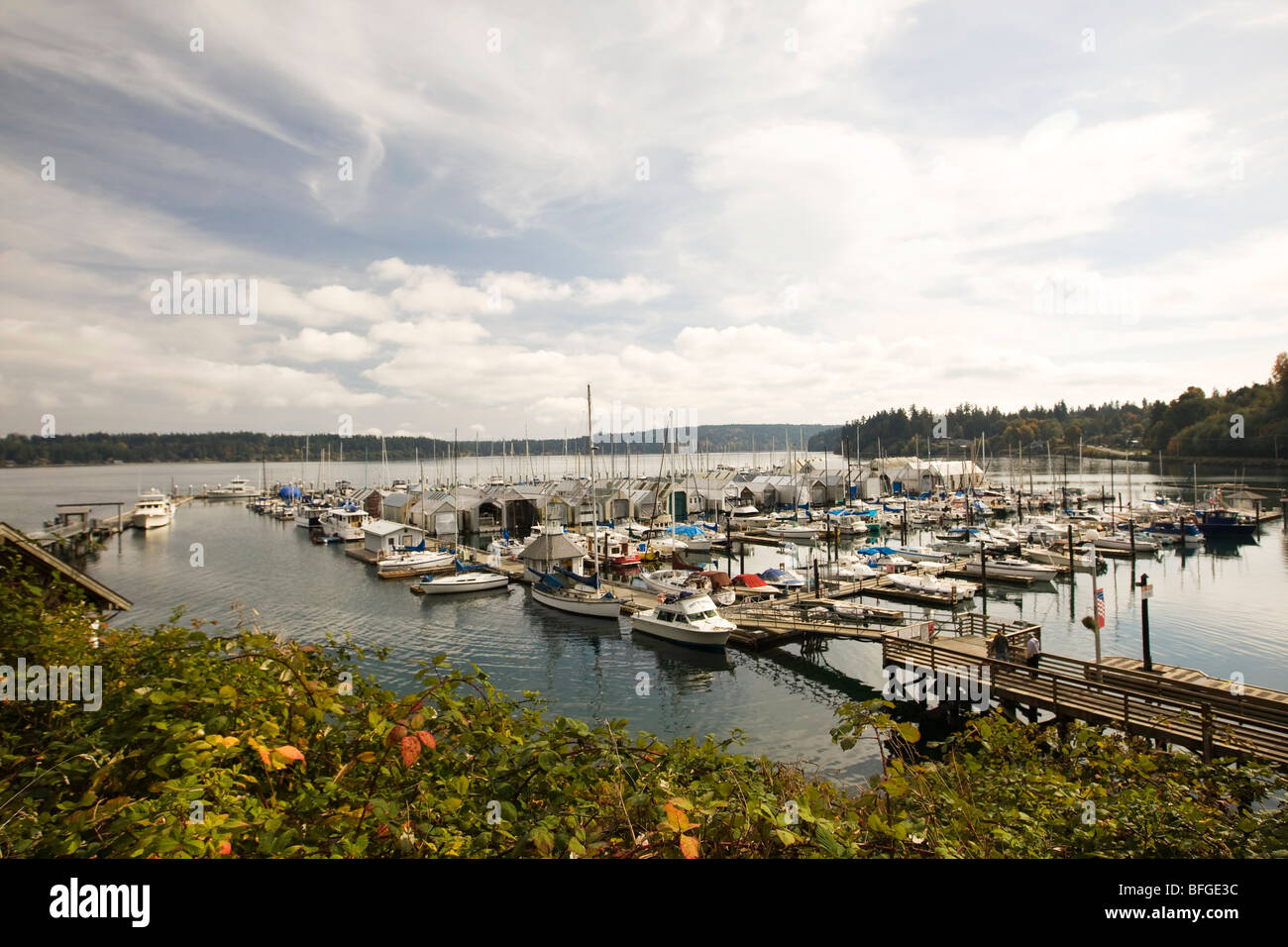 Harbor in Washington State Stock Photo