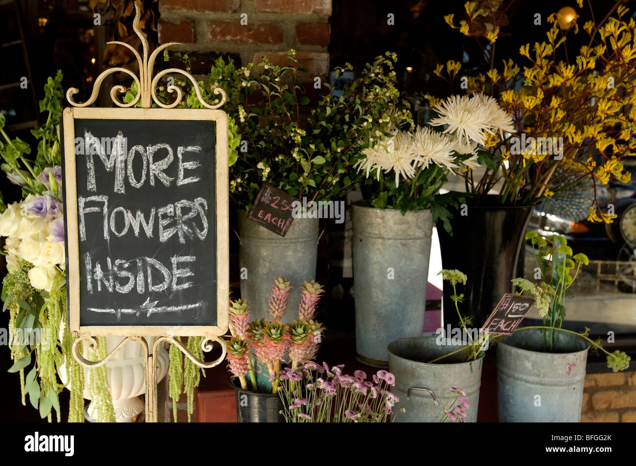 Flowers, "More Flowers Inside Stock Photo Alamy