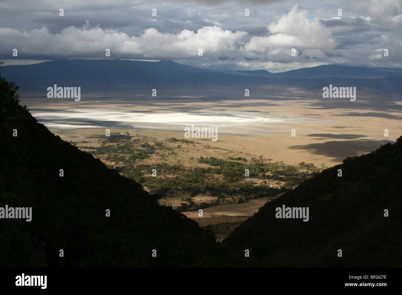 The Collapsed Volcanic Caldera Of Ngorongoro Crater, Tanzania Stock Photo