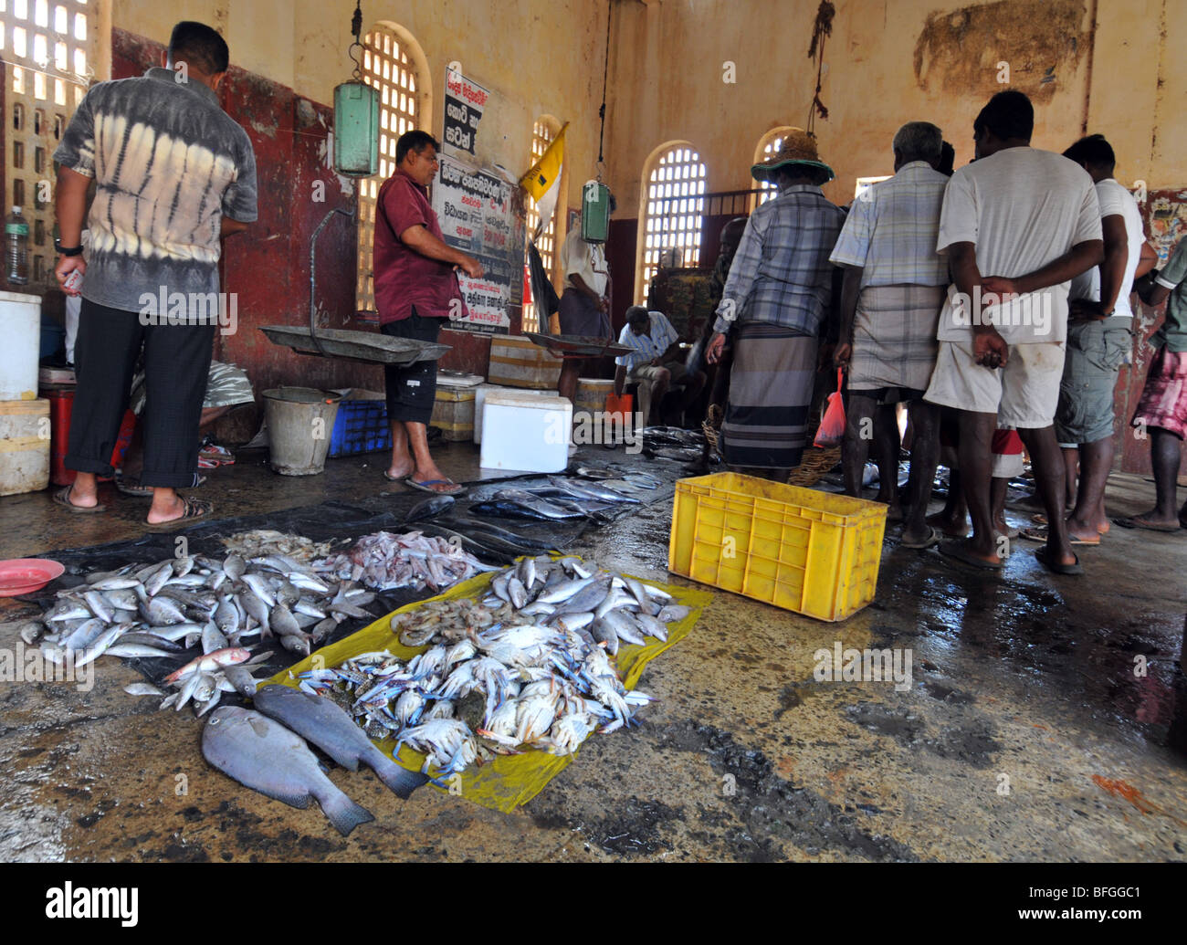 Fish market, Sri Lanka, Sri Lankan fish market Stock Photo