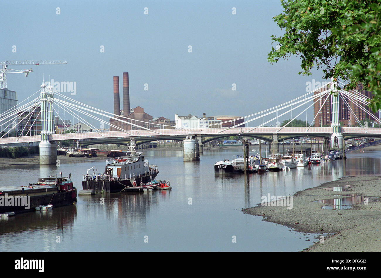 albert suspension bridge river thames london england Stock Photo - Alamy