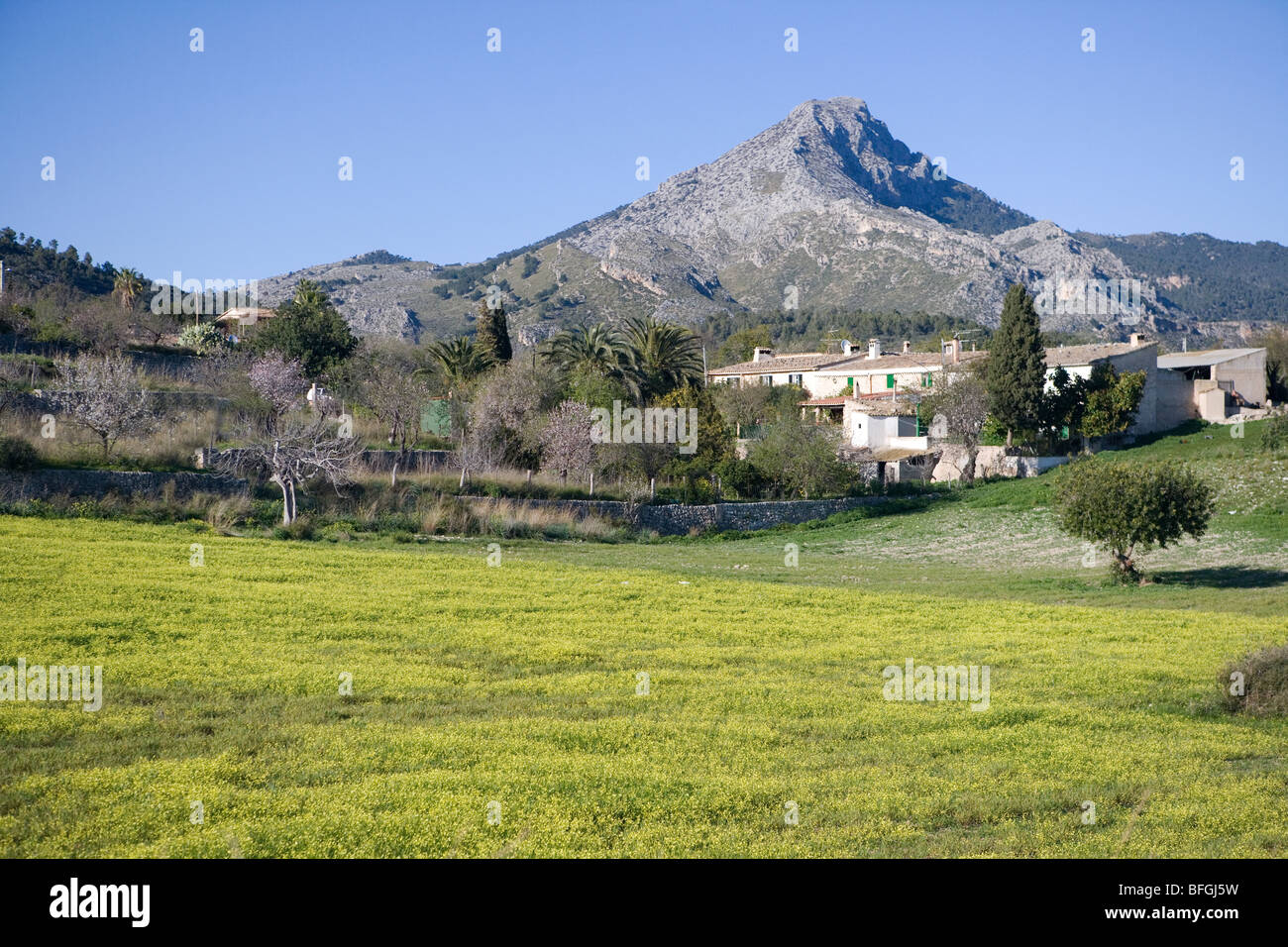 Es Capdella Mallorca Balearic Islands Spain Stock Photo Alamy es-capdella-mallorca-balearic-islands-spain-stock-photo-alamy