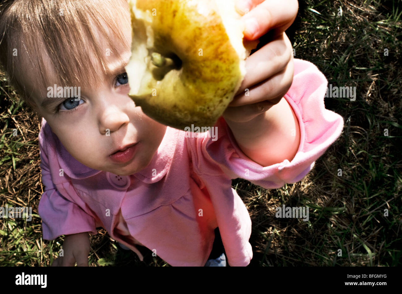 Toddler holding up Golden Delicious apple, Siler City, North Carolina Stock Photo
