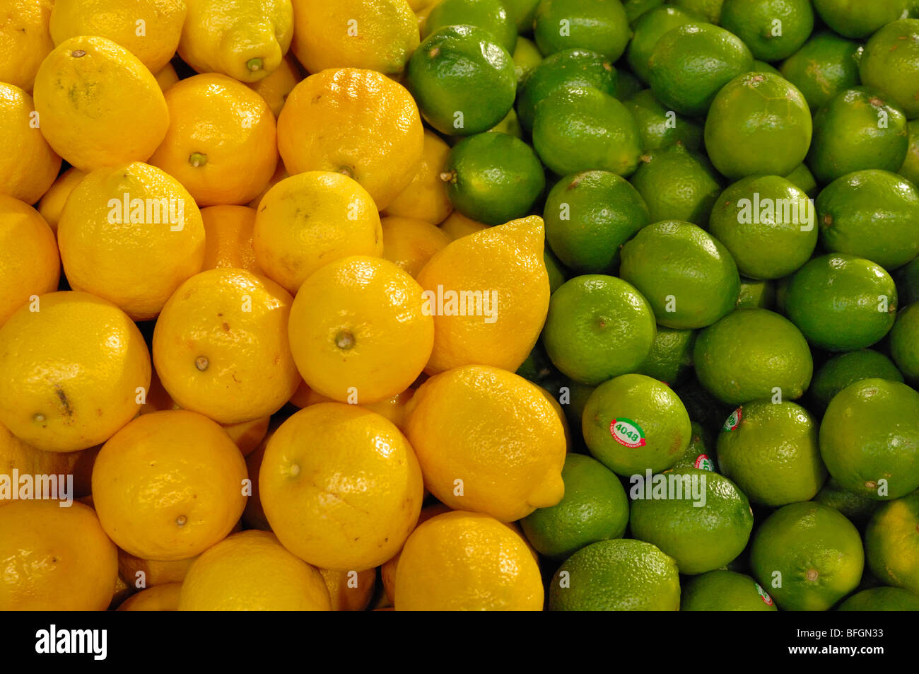 Lemons and limes Stock Photo Alamy