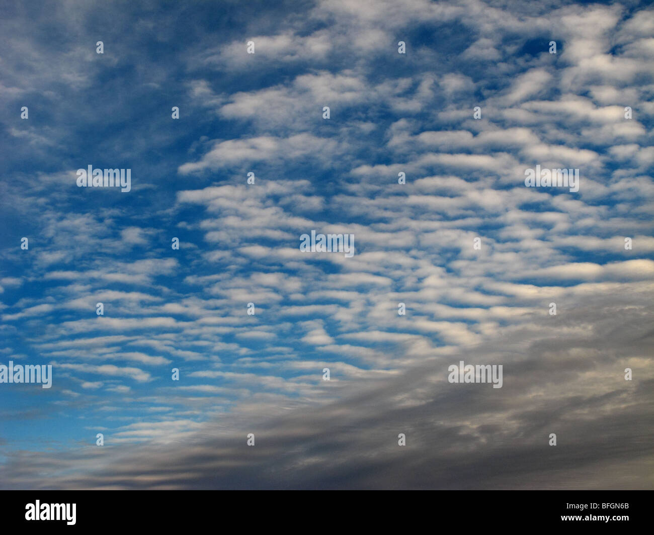 Billow altocumulus clouds in blue sky Stock Photo - Alamy