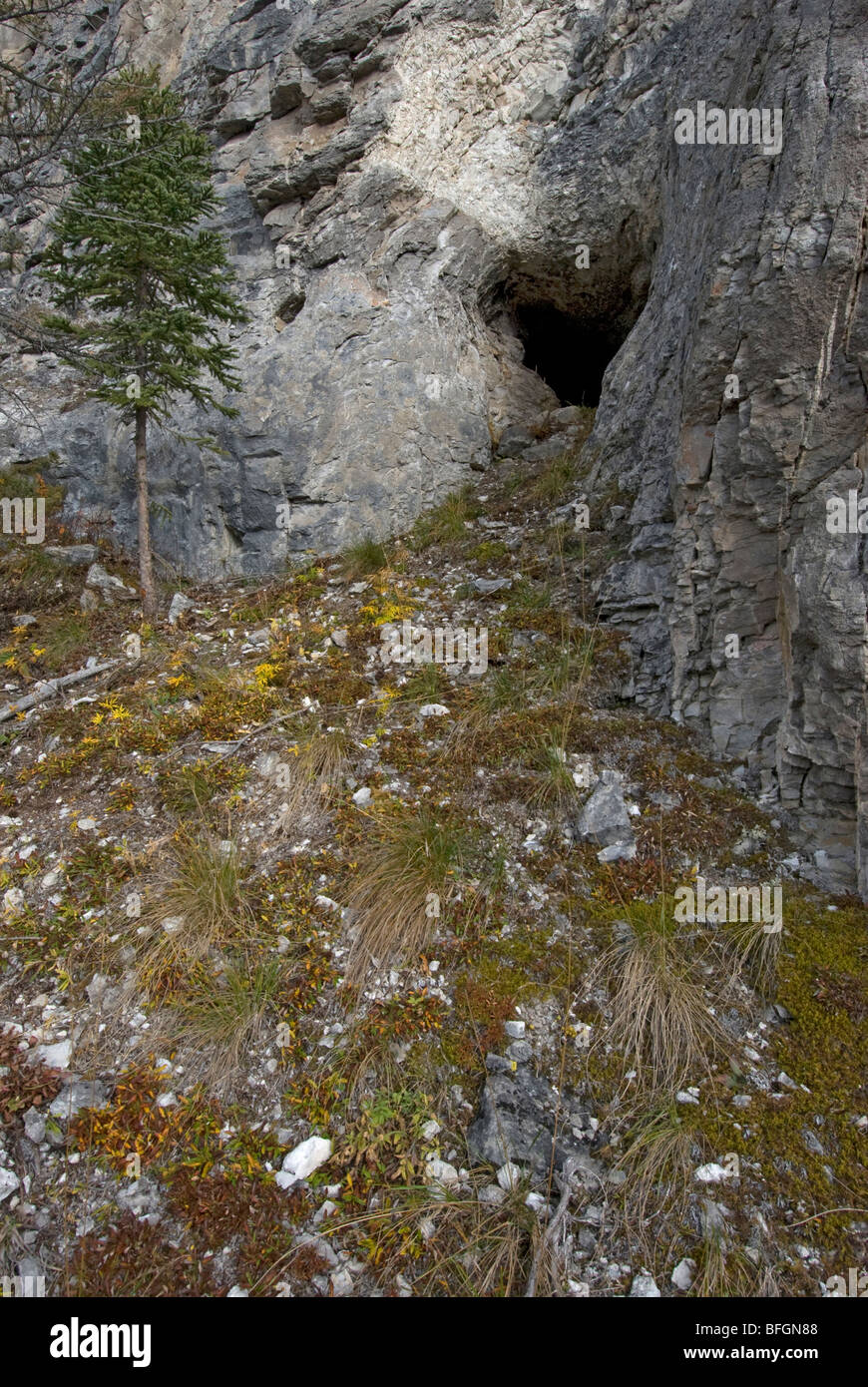 Entrance to grizzly bear den on side of mountain.  Yukon Territory, Canada. Stock Photo