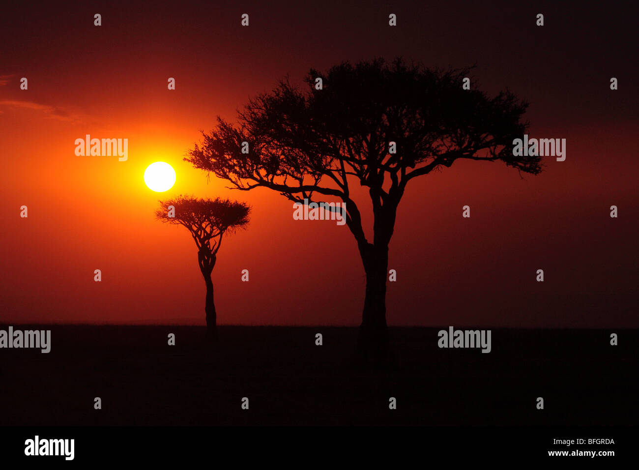 African sun set Stock Photo