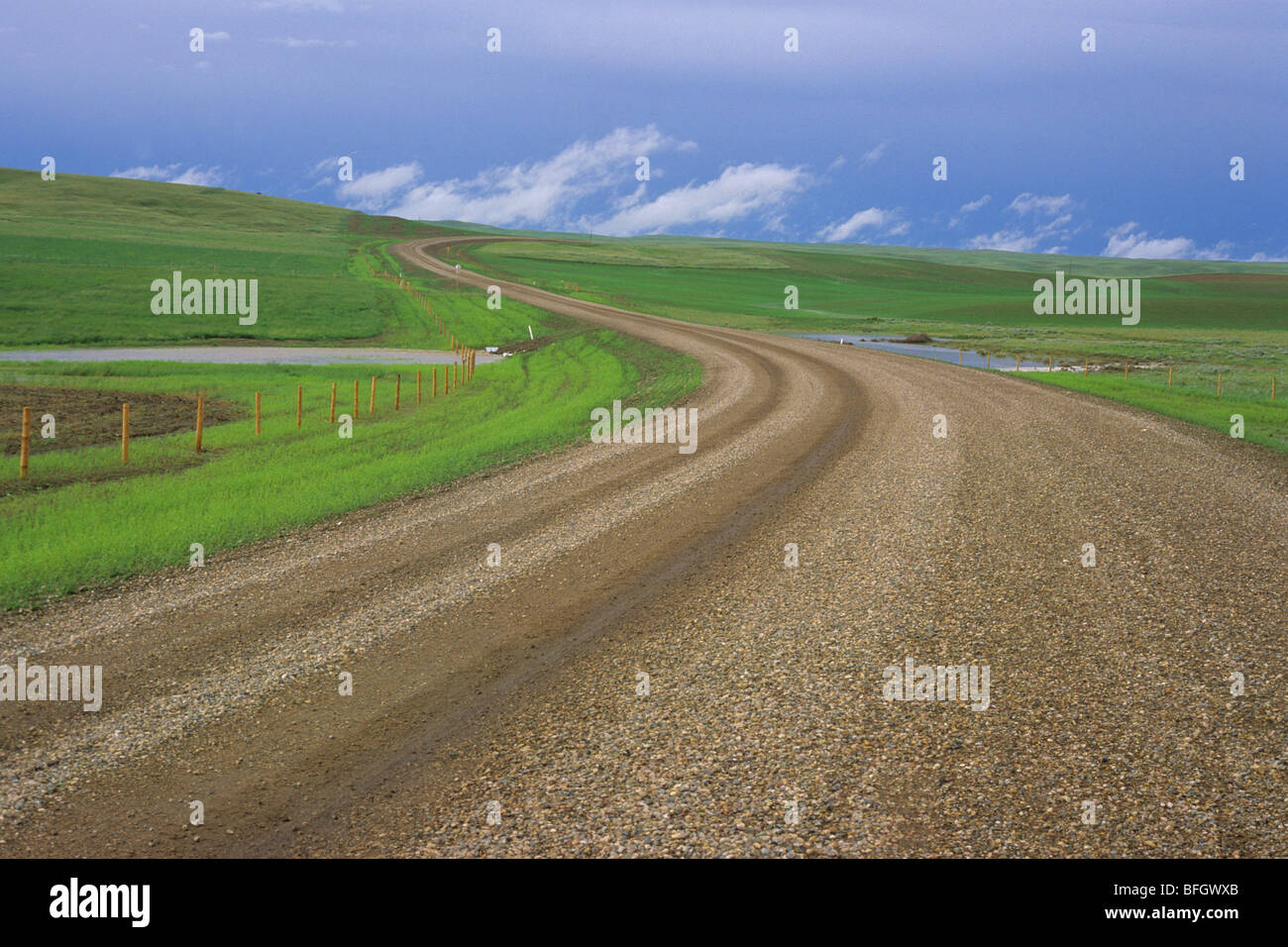 Manyberries Elkwater Road. Cypress Hills Provincial Park, Alberta