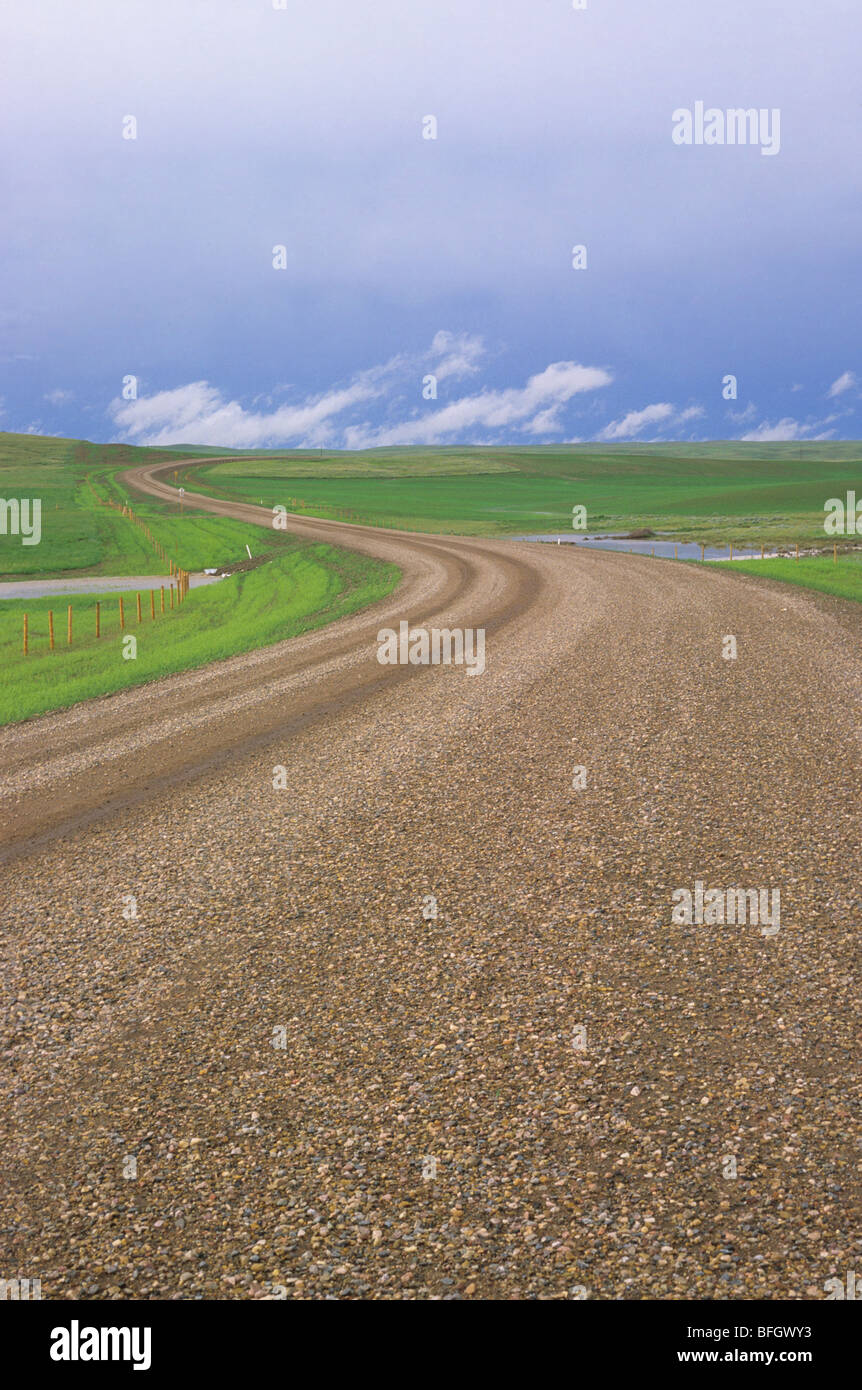 Manyberries hires stock photography and images Alamy