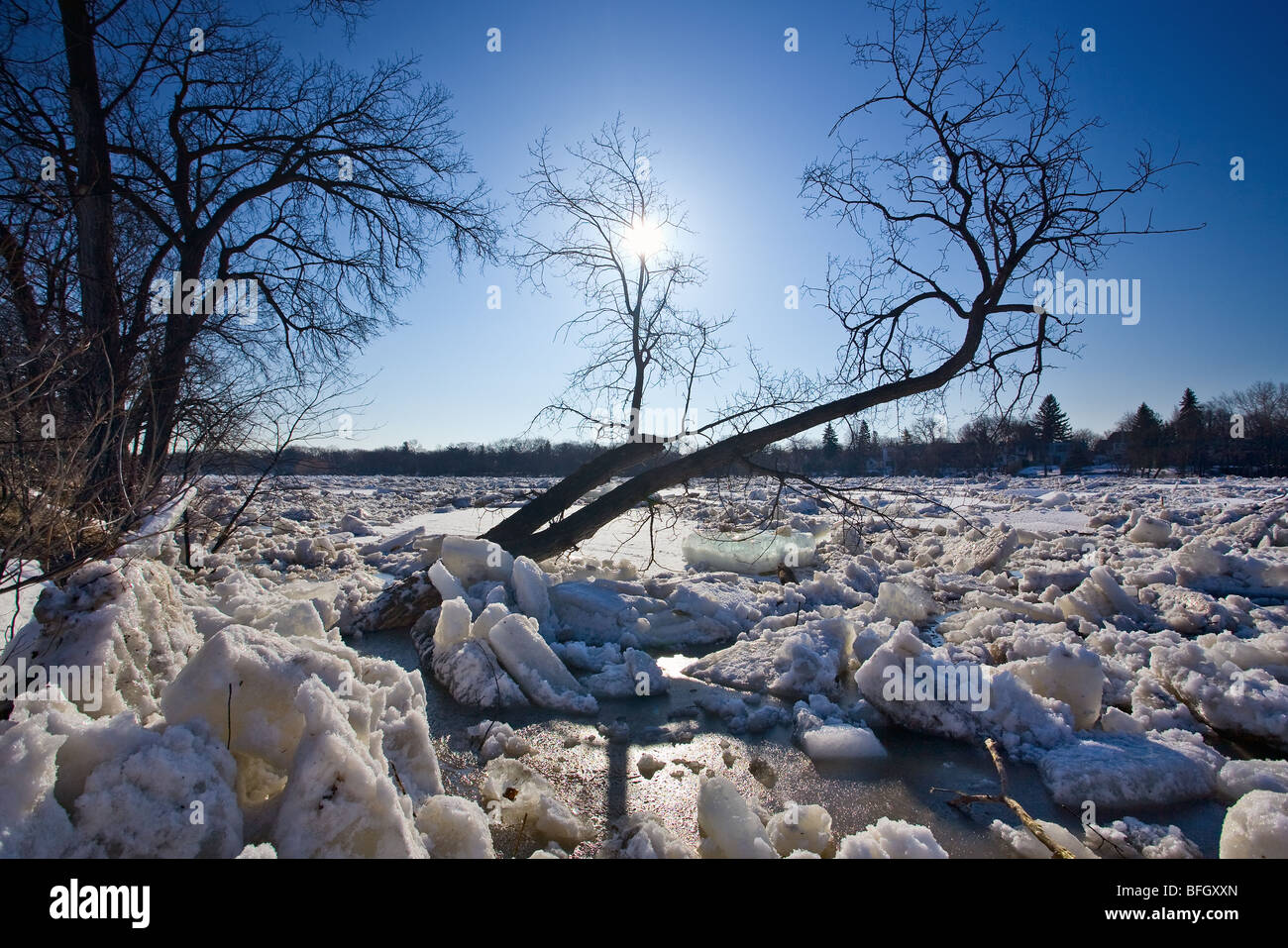 Ice Jam On The Red River During 2009 Flood Winnipeg Manitoba Stock Photo Alamy