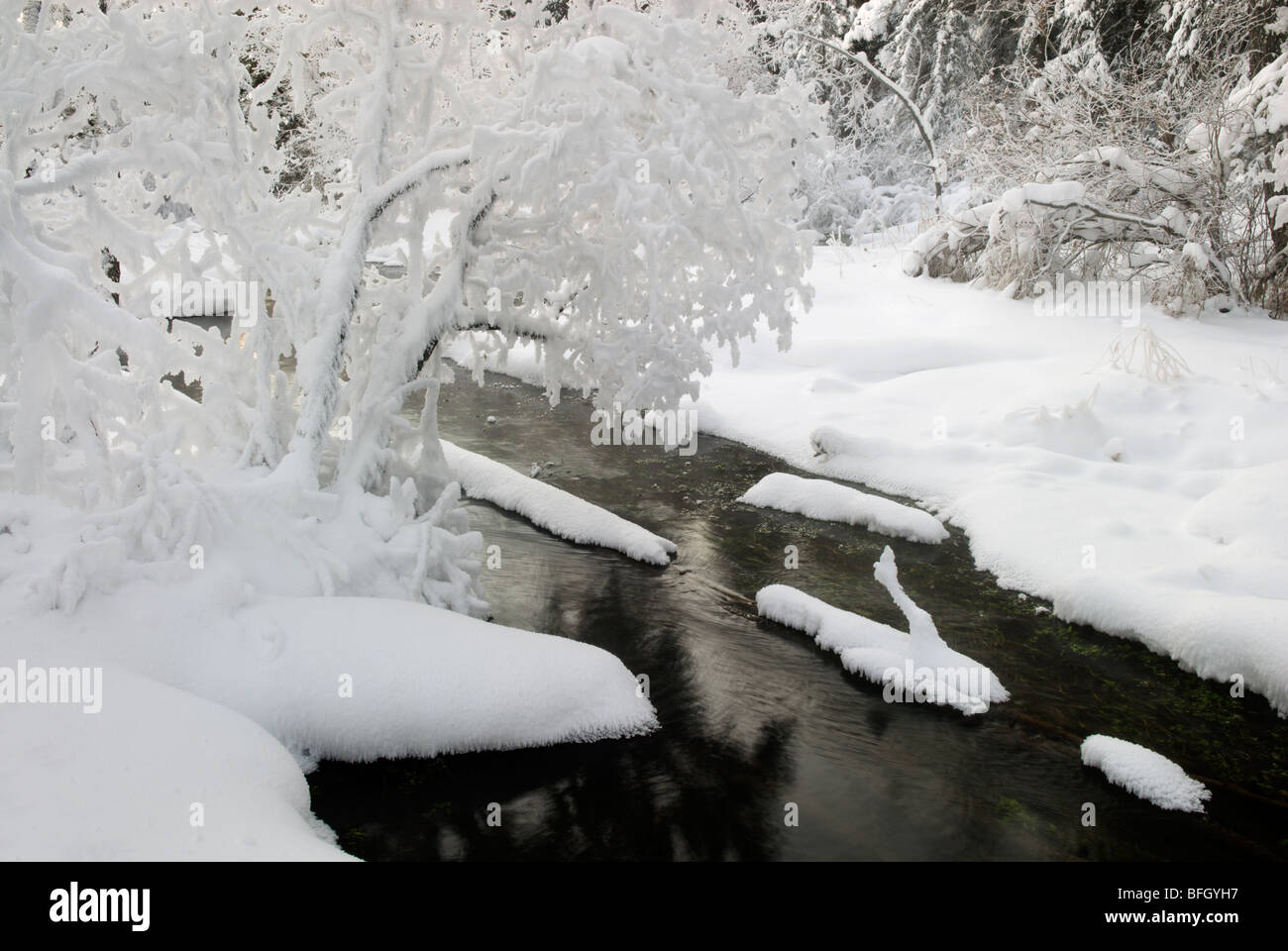 Big hill springs provincial park alberta hires stock photography and images Alamy