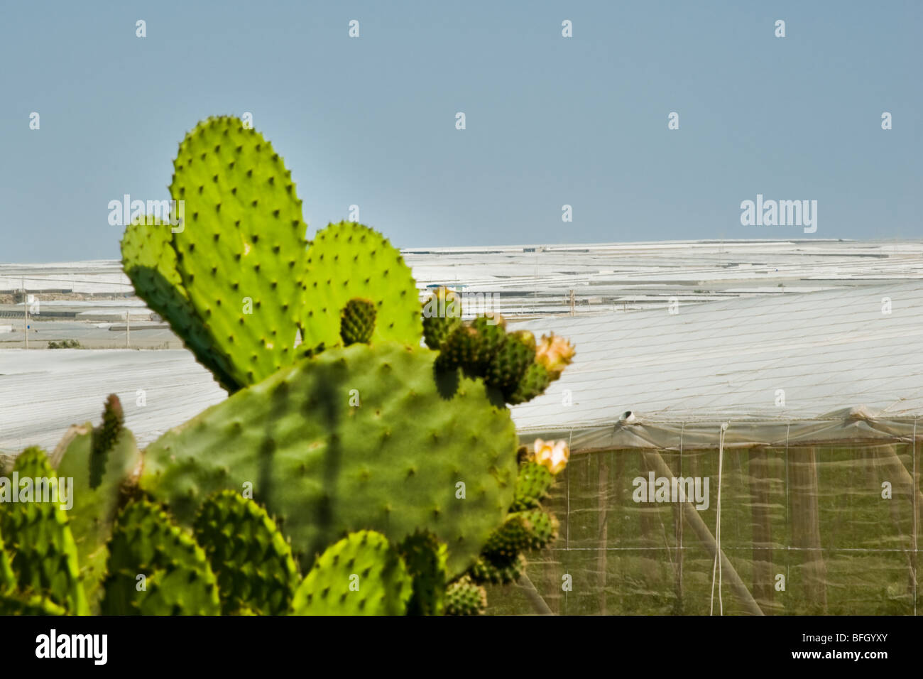 Intensive agriculture in El Ejido (Spain) depends on the sophisticated irrigation system. Stock Photo