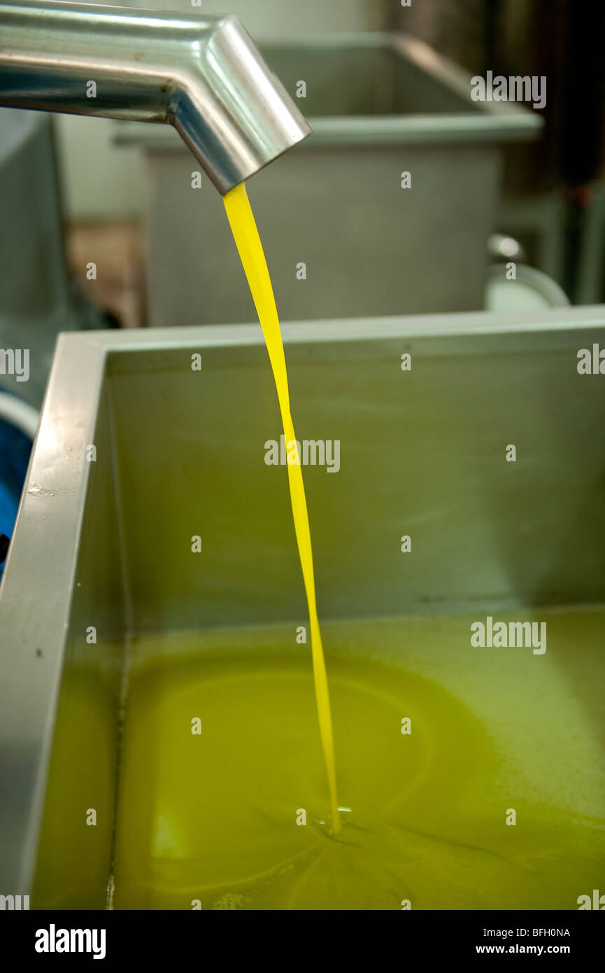Olive oil factory hires stock photography and images Alamy