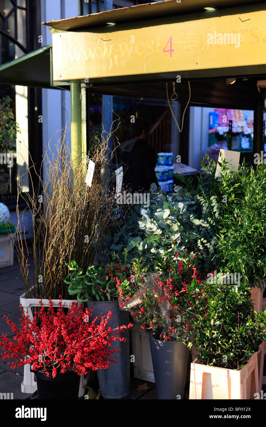 united kingdom west london chiswick essex place square a flower market stall Stock Photo