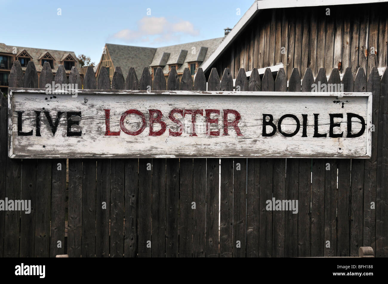 An old, weathered wood sign advertising live lobsters, boiled, in Bar Harbor, Maine, USA. Stock Photo