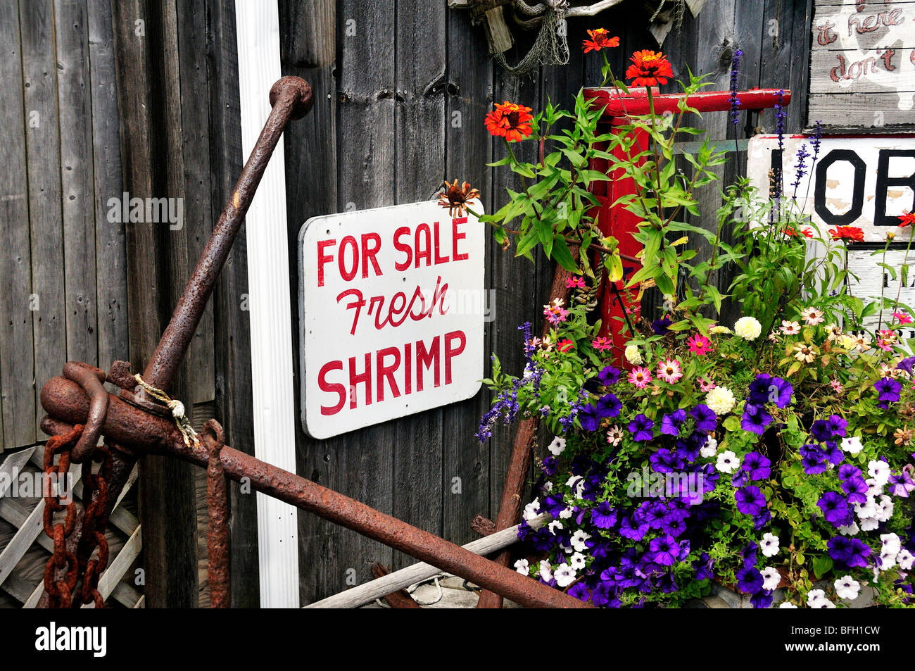A sign advertising fresh shrimp and lobster in Bar Harbor, Maine, USA Stock Photo