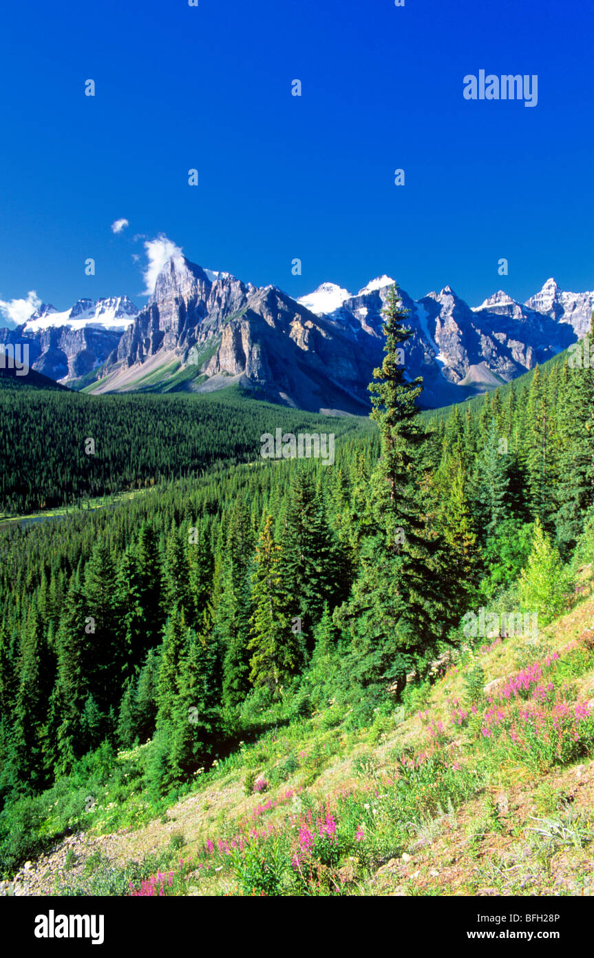 The Valley of the Ten Peaks, Banff National Park, Alberta, Canada Stock Photo
