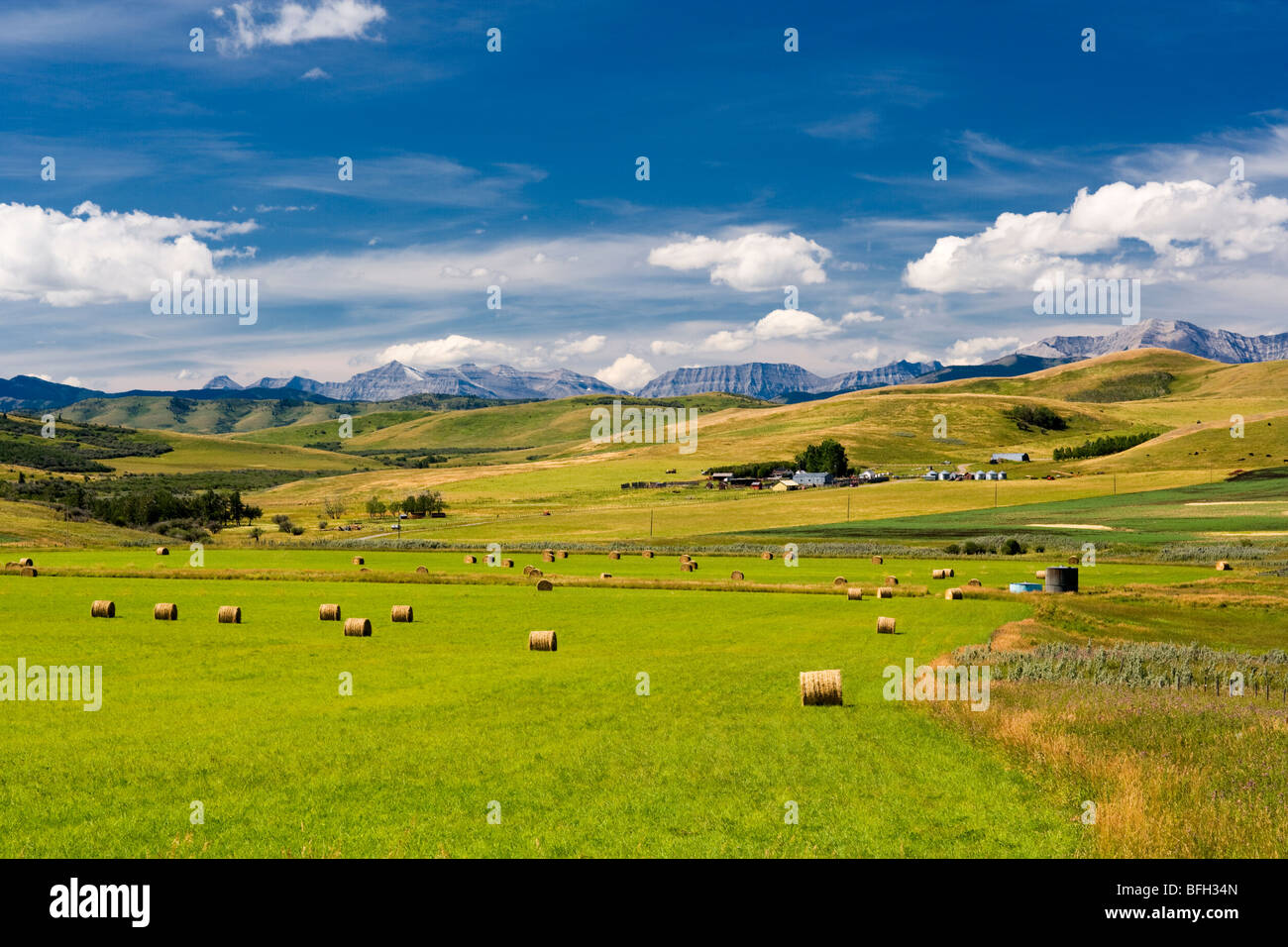 Farm and rolling hills, Longview, Alberta, Canada Stock Photo