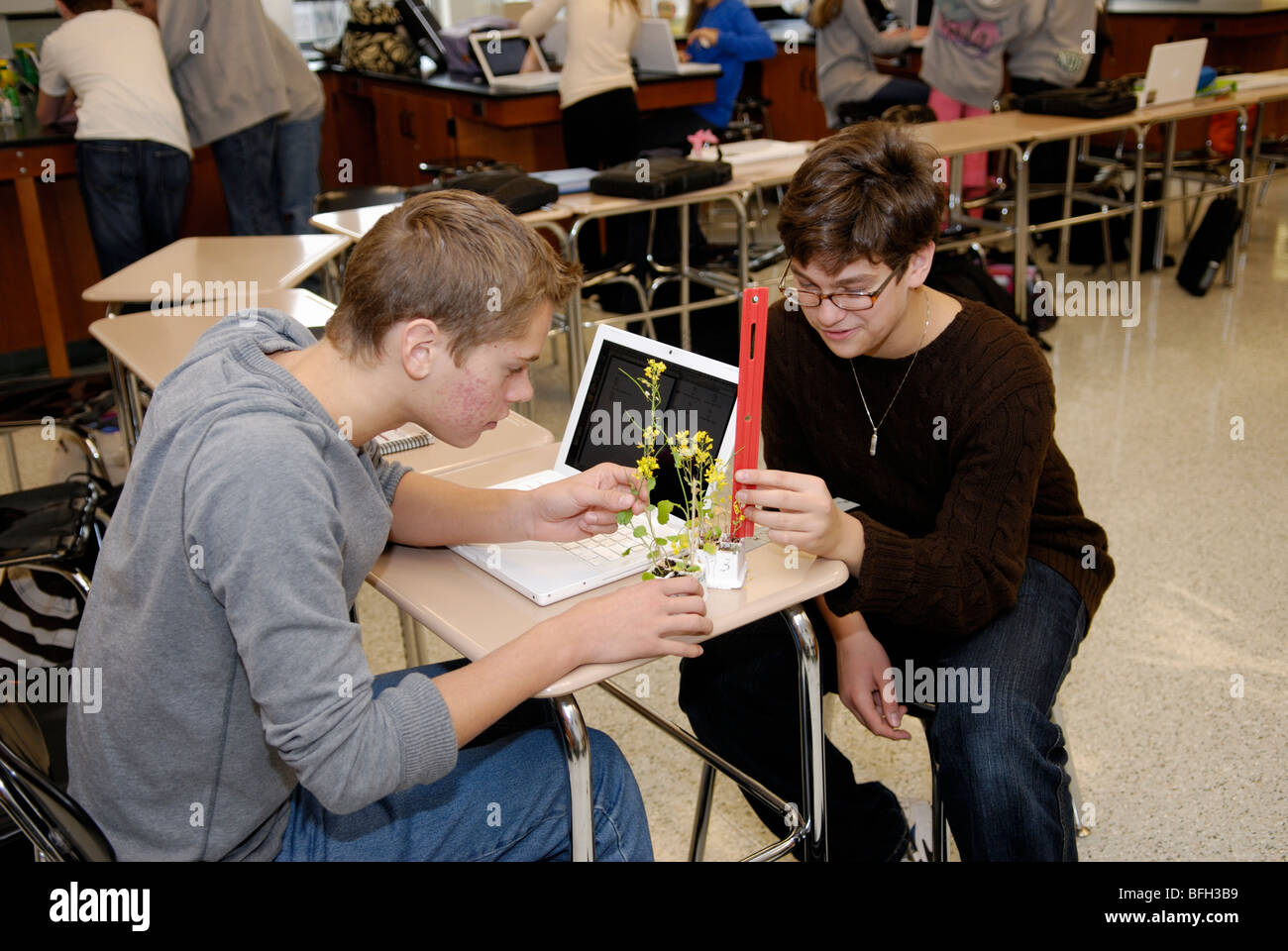 High school students collecting data on a plant experiment in a biology