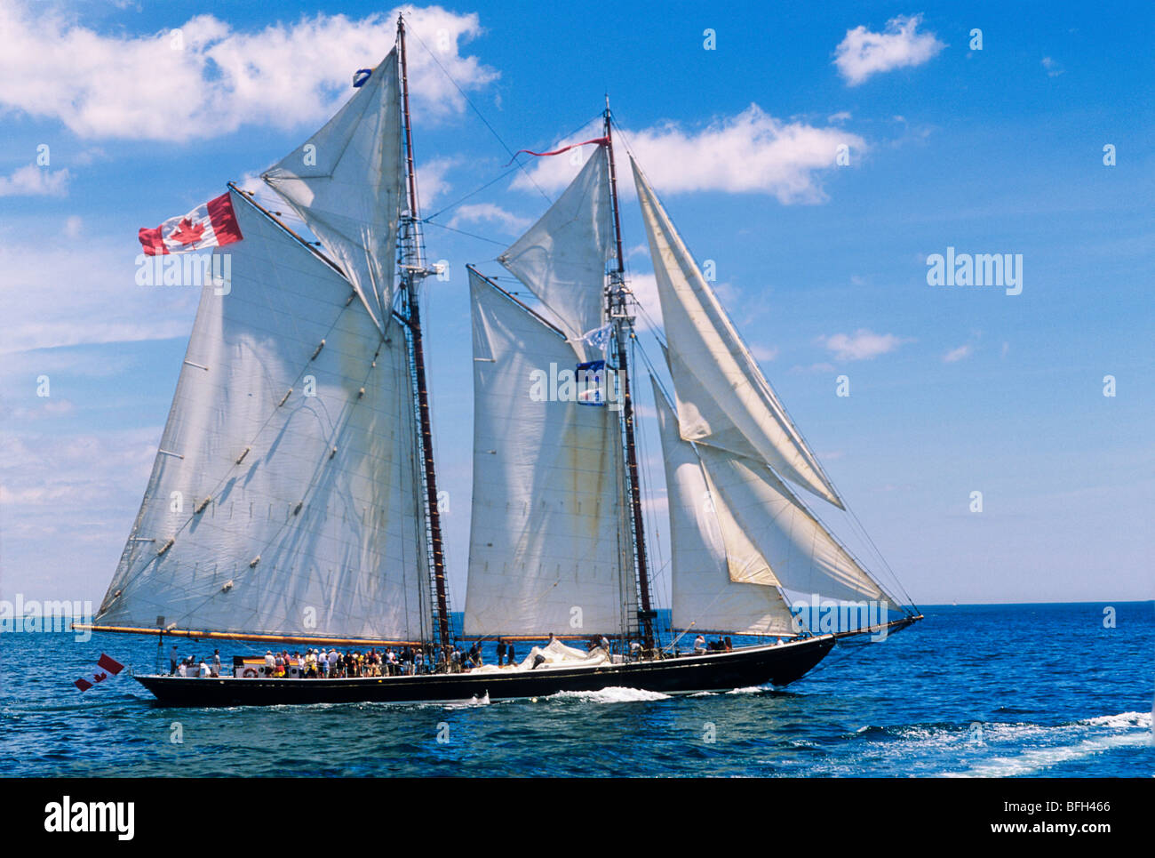 The Bluenose sailing in Halifax Harbour, Nova Scotia, Canada Stock Photo Alamy