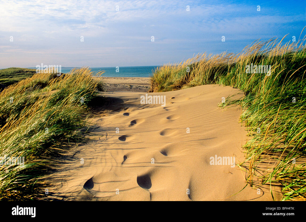 Sand dunes. Cavendish Beach, PEI National Park, Prince Edward Island, Canada Stock Photo