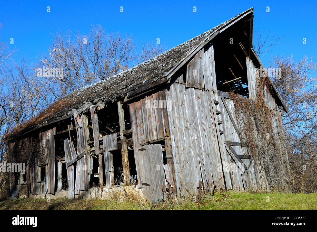 Old barn. Stock Photo