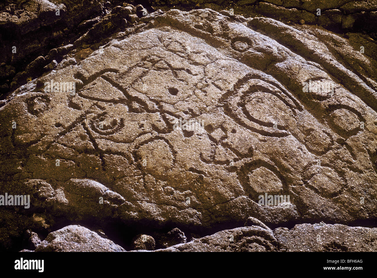 Ancient Hawaiian petroglyphs at Anaehoomalu; Waikoloa Beach Resort