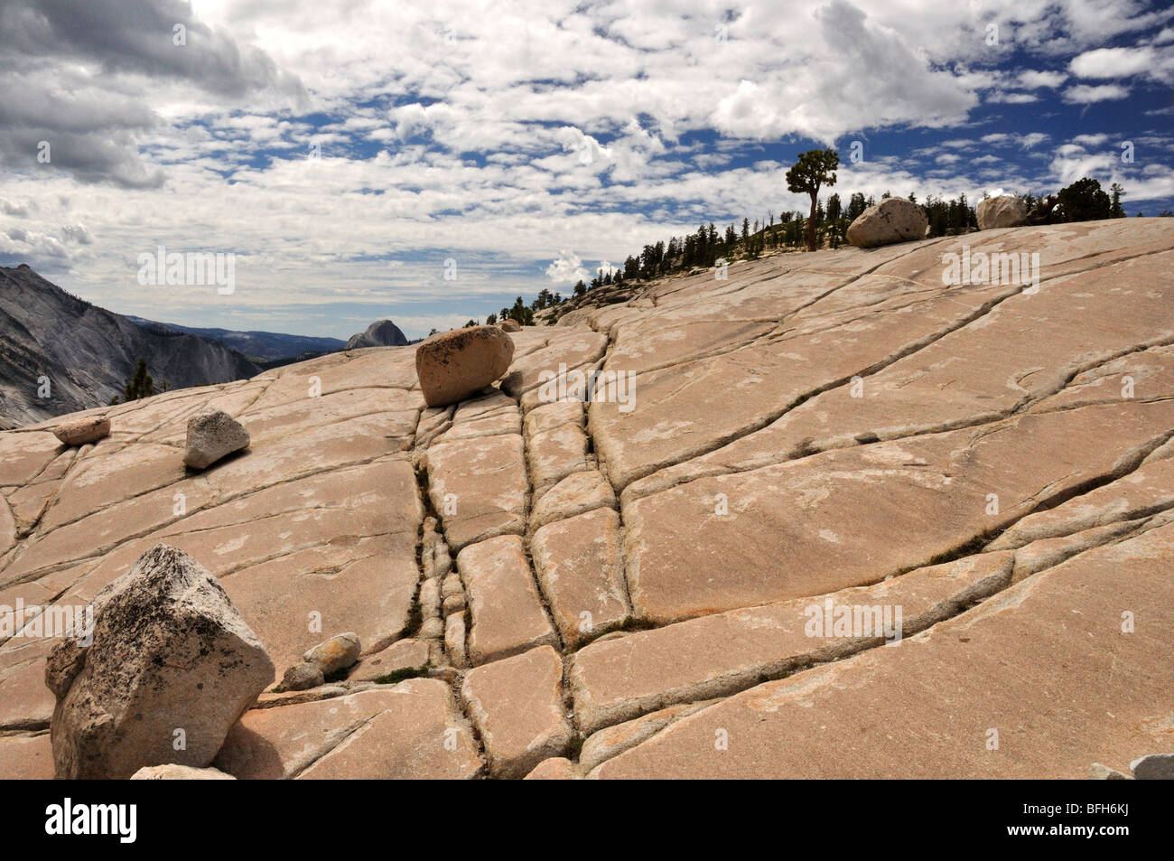 Cross section of granite showing glacial striation at Olmsted Point, Yosemite Stock Photo