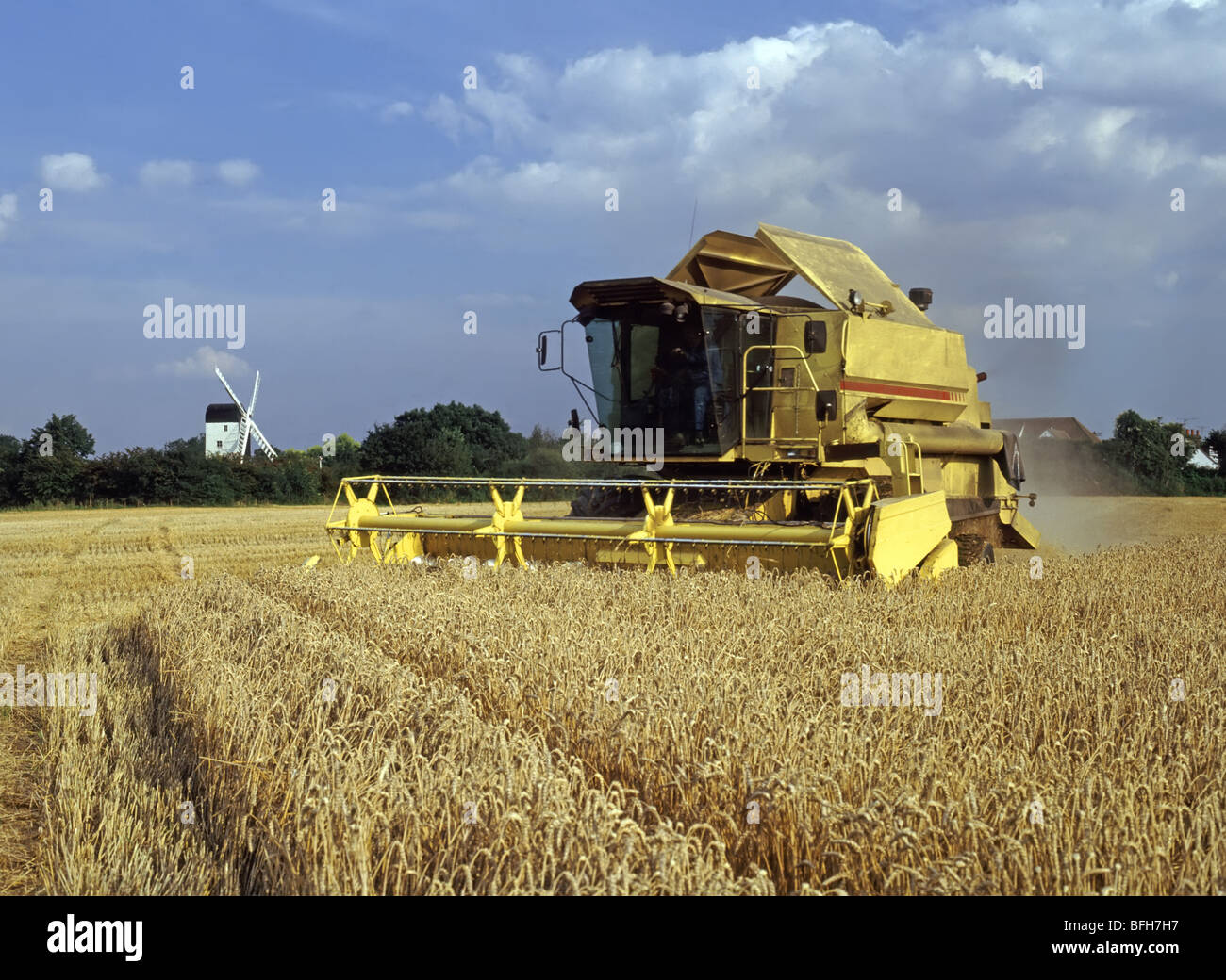 Old combine harvester threshing wheat hi-res stock photography and ...