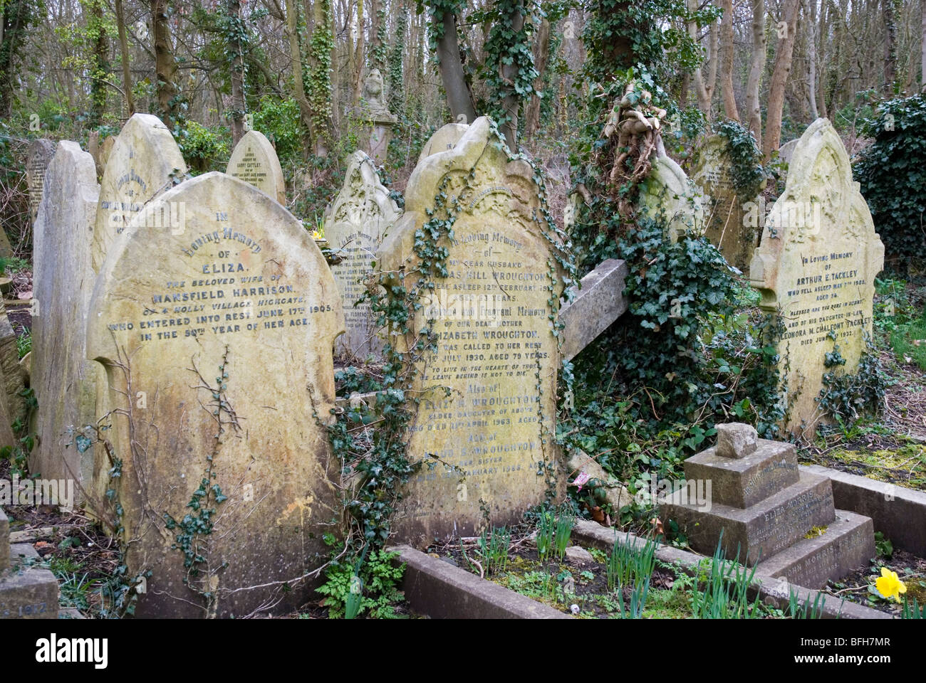 Graves at Highgate cemetery in London England UK Stock Photo Alamy