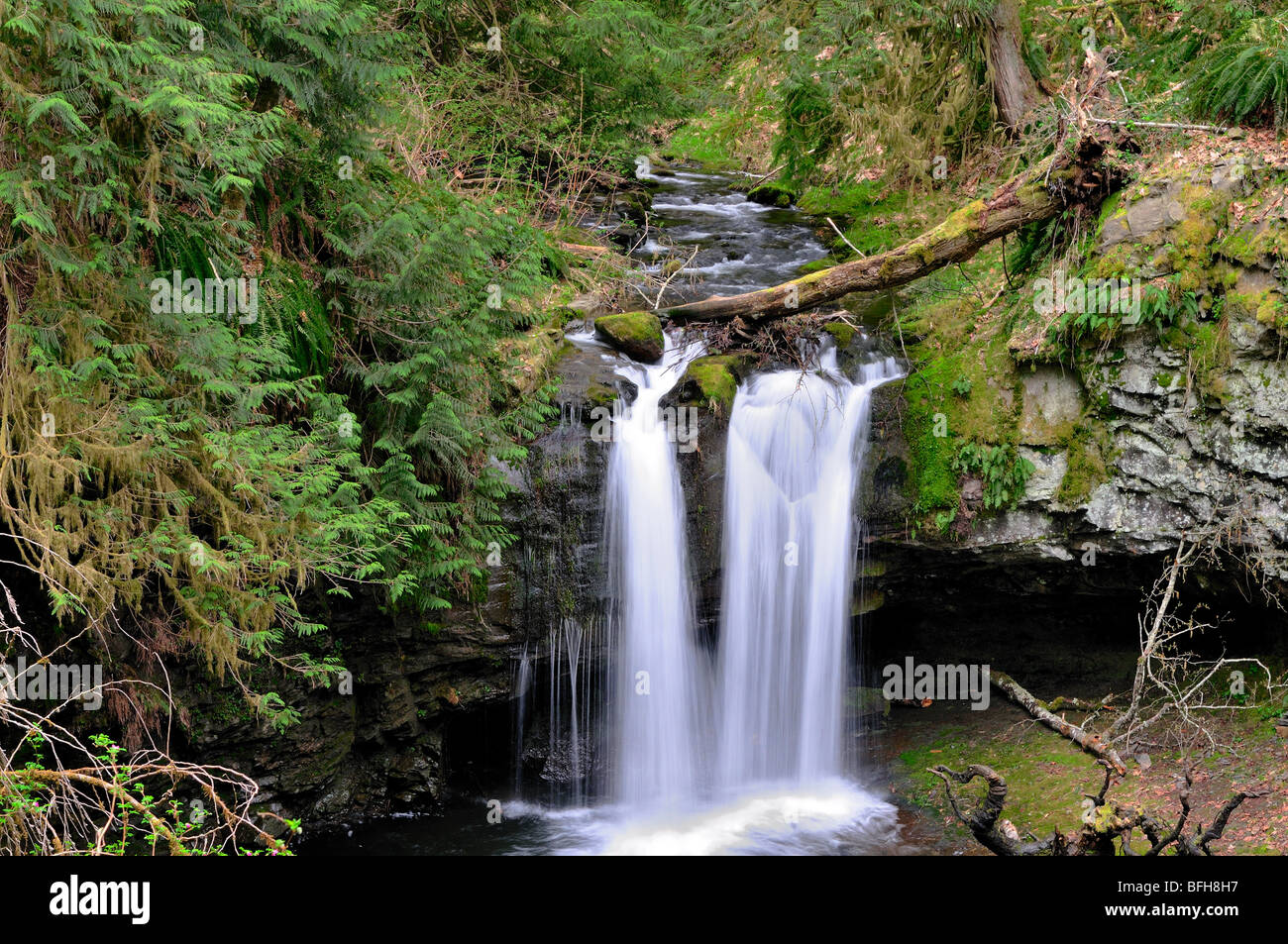 Waterfall at Stocking Creek Park in Saltair, BC Stock Photo - Alamy